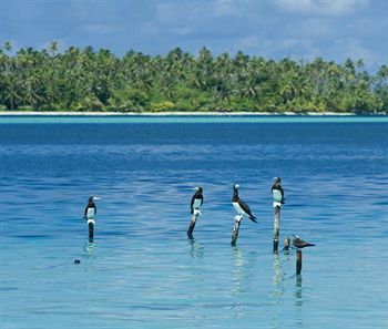 Opoa Beach 호텔 Raiatea 외부 사진
